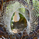 Dreamcatcher Crystal Mindfulness art mobile Anxiety gifts Home clearing protection ArMoniZar Dreamcatcher Crystal Mindfulness art mobile Anxiety gifts Home clearing protection ArMoniZar