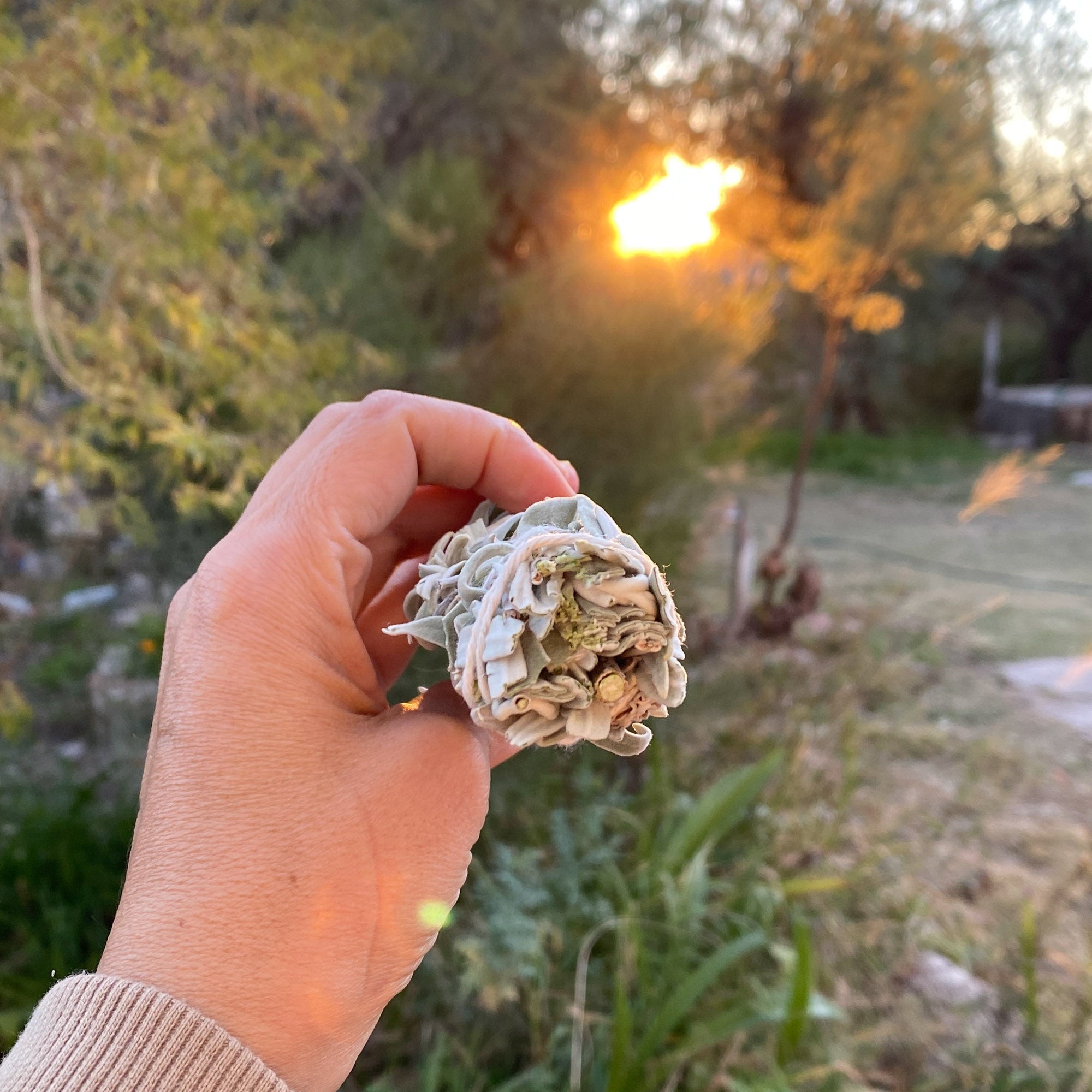 Home Blessings, Protection Rituals & Spiritual Purification Organic White Sage Smudge Stick Home Blessings, Protection Rituals & Spiritual Purification Organic White Sage Smudge Stick