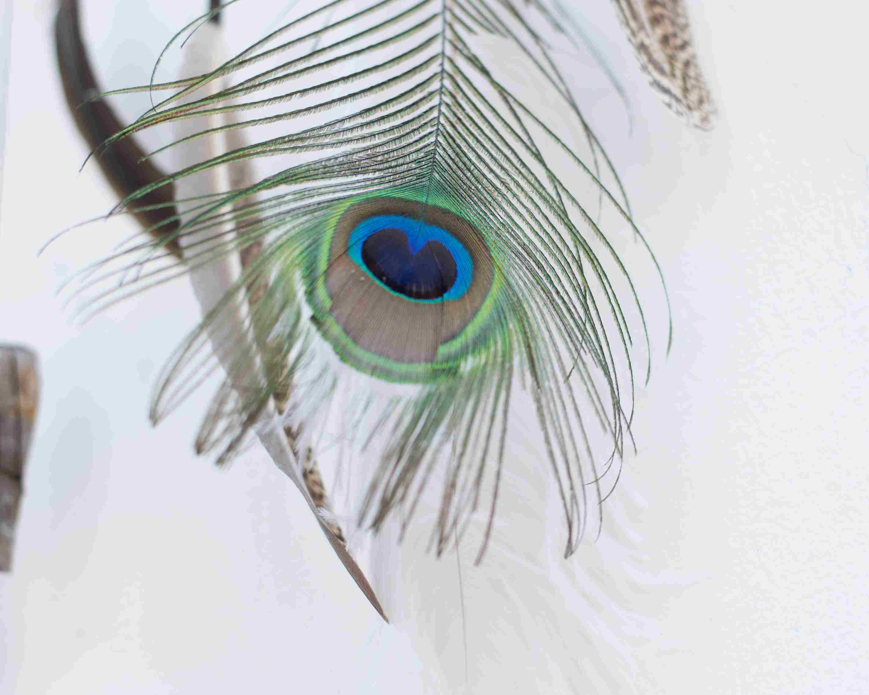 Wall decor over the bed Large Dreamcatcher wall hanging woven tapestry Large natural wall decor dream catcher Wonderful energy, Earthy witch ArMoniZar Wall decor over the bed Large Dreamcatcher wall hanging woven tapestry Large natural wall decor dream catcher Wonderful energy, Earthy witch ArMoniZar