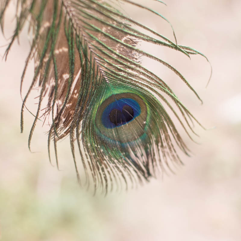 Dreamcatcher Blue-Green with Raw Anxiety Gemstones - Ideal for Armchairs