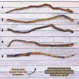 Natural Cut Willow Branch for Hanging Decor, 46 inches (118 cm), Ready to Use – Similar to Driftwood, Perfect for Boho and Rustic Spaces