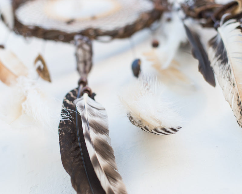 Native American Style Wall Hanging: Harmony Infused Dreamcatcher Trio on Willow Branch with 6 Energizing Crystals