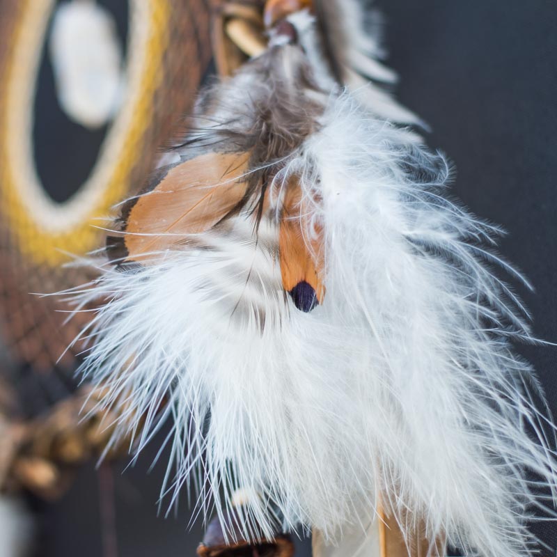 Native American Style Wall Hanging: Harmony Infused Dreamcatcher Trio on Willow Branch with 6 Energizing Crystals