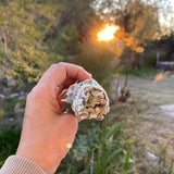 Home Blessings, Protection Rituals & Spiritual Purification Organic White Sage Smudge Stick