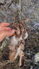 Crystal Dreamcatcher Healing  – Small Shaman Art, 7 Chakra Wall Hanging, Selenite Wreath for Protection & Positive Energy